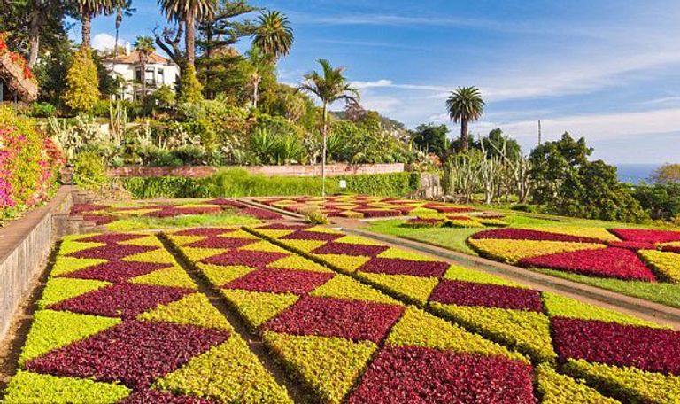 حديقة ماديرا النباتية أحد أماكن السياحة في جزر ماديرا السياحة في جزر ماديرا.. 5 مفاجآت بقلب لؤلؤة المحيط الأطلسي