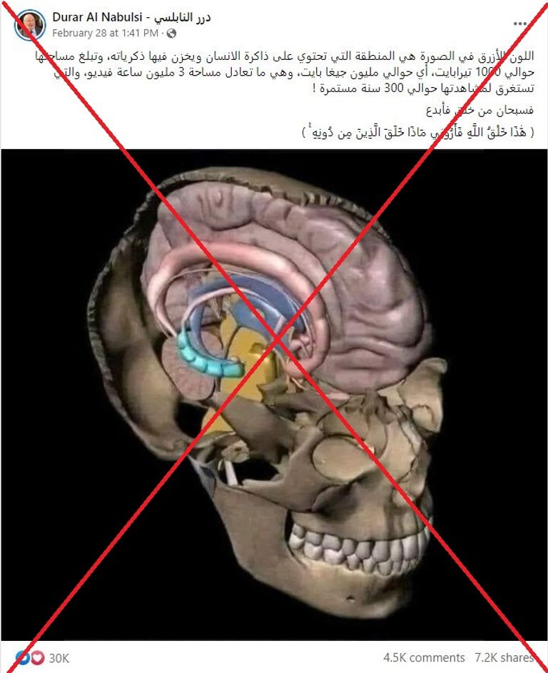 الصورة المتداولة