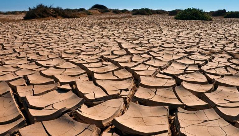 دراسة تؤكد أن الجفاف في الصومال قد يؤدي إلى 135 وفاة يوميا- أرشيفية