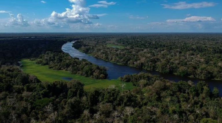 الغابات تسهم في النمو العقلي والتطور الاجتماعي عند الأطفال