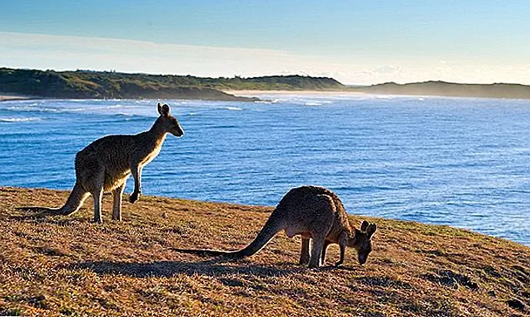 أنشطة سياحية يمكن ممارستها في نيو ساوث ويلز