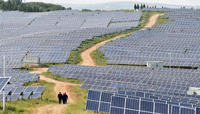ألواح في محطة للطاقة الشمسية بالصين - رويترز