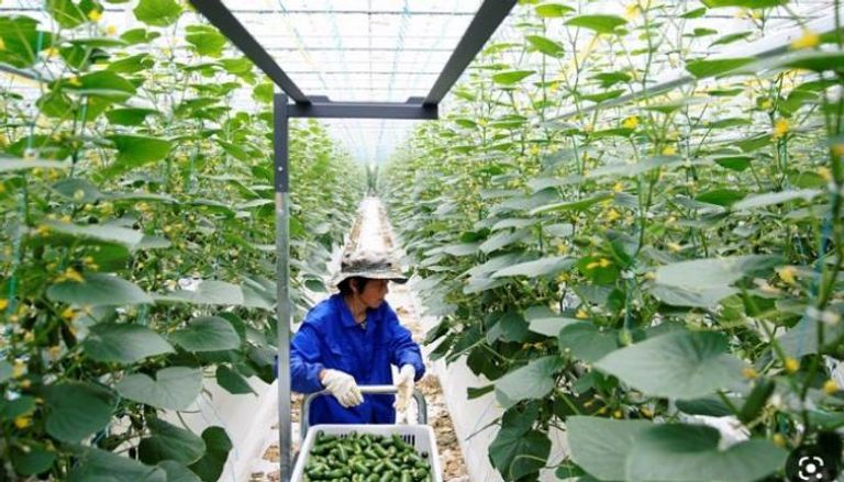 استثمار المليارات في شركات التكنولوجيا الزراعية الناشئة - رويترز