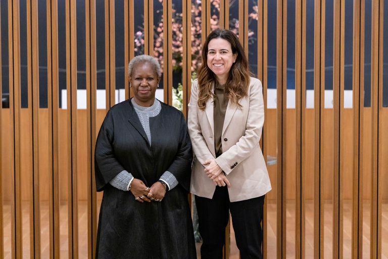 السفيرة لانا زكي المندوبة الدائمة لدولة الإمارات لدى الأمم المتحدة خلال لقائها وكيل الأمين العام مارتن غريفيث