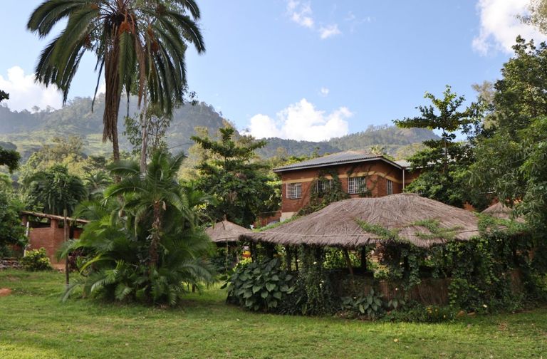  مدينة "Zomba" أحدى أفضل المدن السياحية في مالاوي