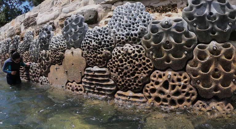 حوائط صد حيوية للبحار الأسقف الذكية للبنايات