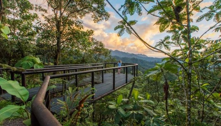 الممرات المرتفعة عن الأرض لحماية الغابات في كوستاريكا