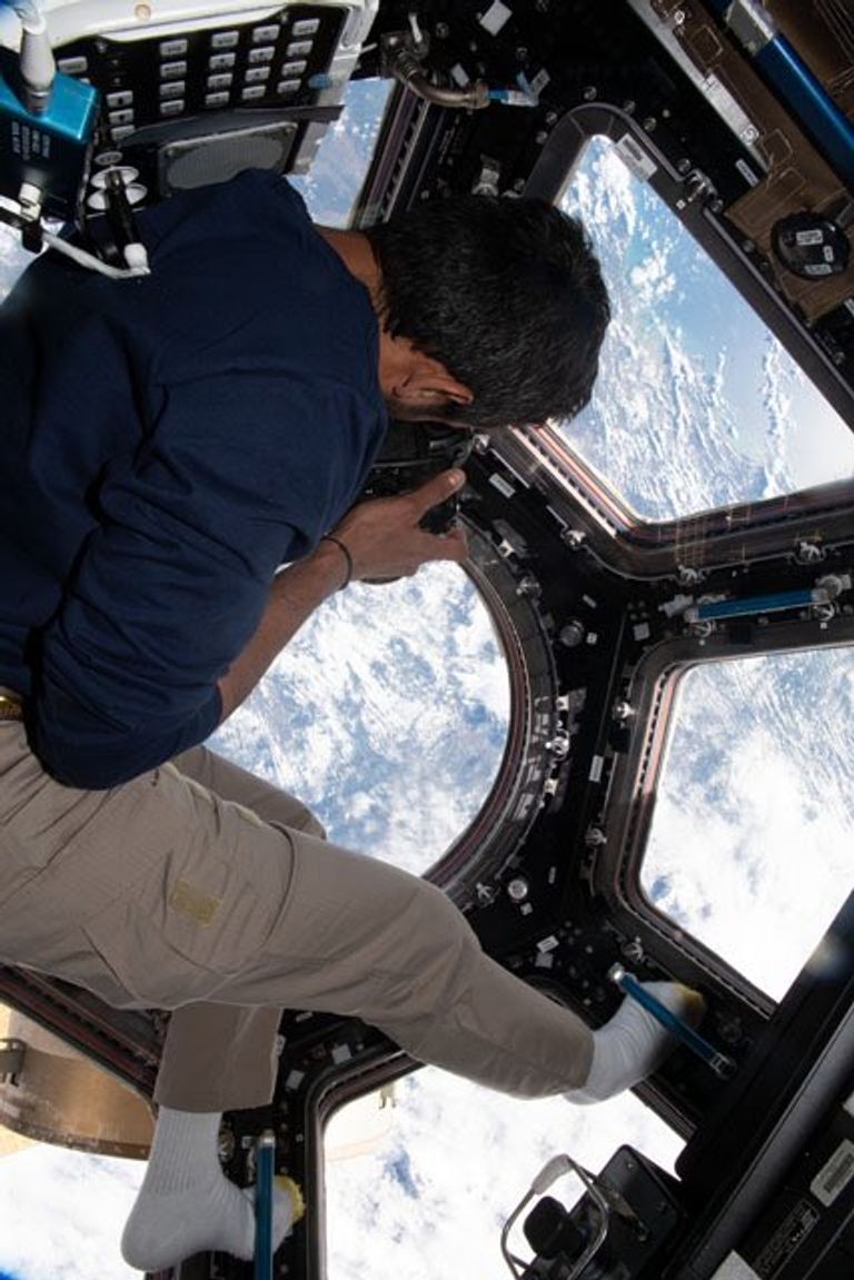 سلطان النيادي