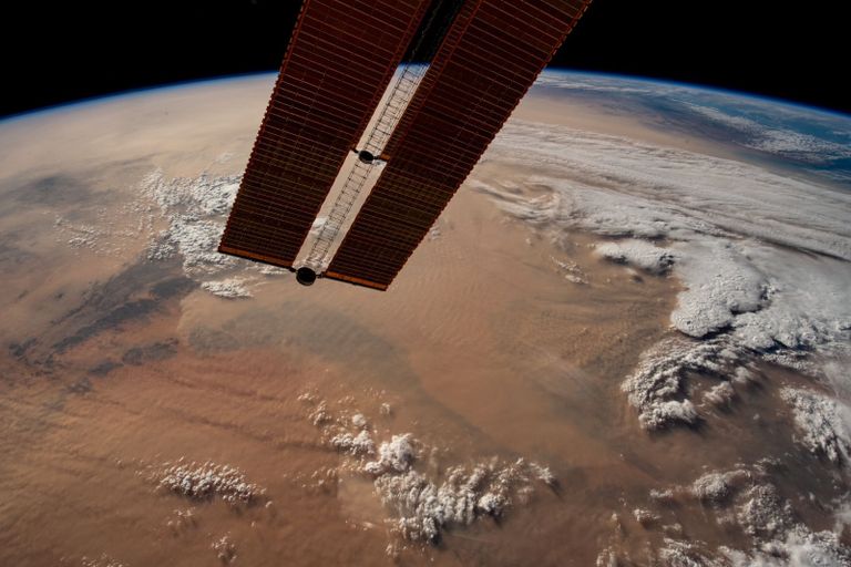 سلطان النيادي