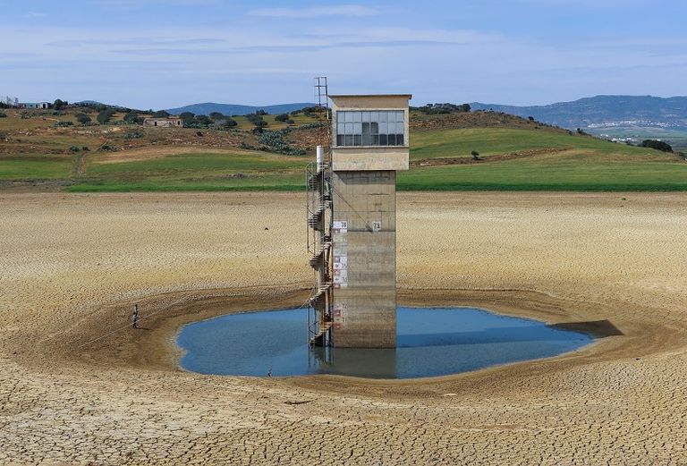 طفل يسير على أرض جافة في محافظة نابل التونسية