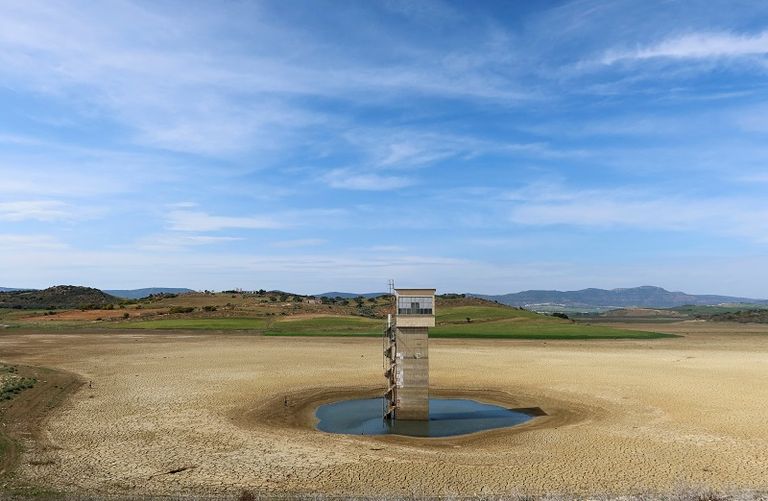 طفل يسير على أرض جافة في محافظة نابل التونسية