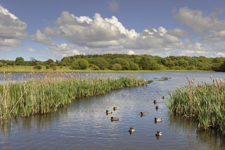 محمية طبيعية - أرشيفية