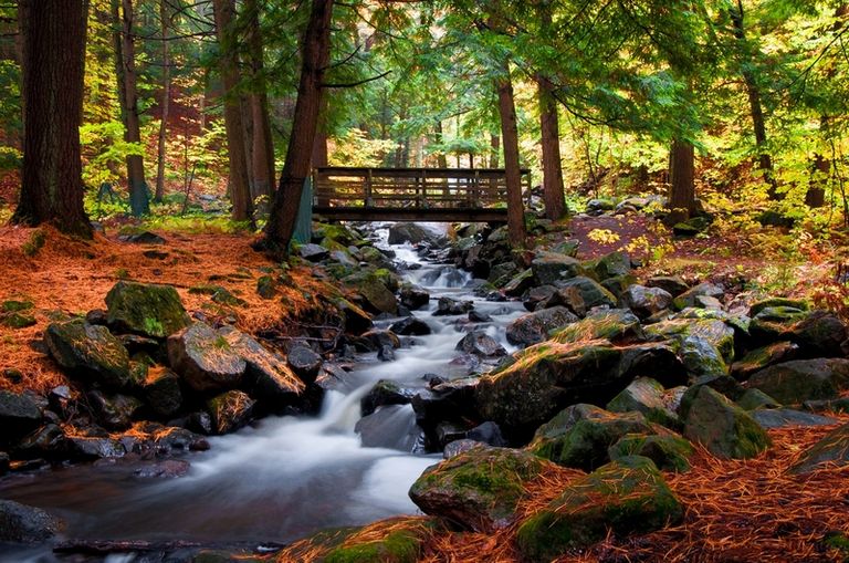 جاتينو بارك أحد أماكن السياحة في أوتاوا السياحة في أوتاوا.. 5 مفاجآت رائعة أبرزها قناة ريدو