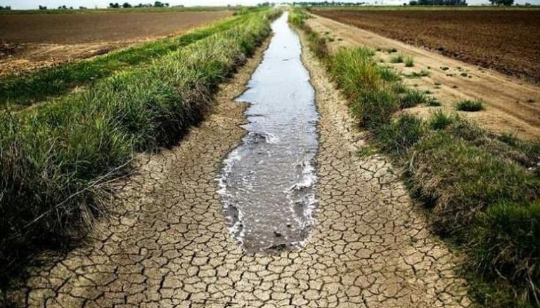 شح المياه يهدد قطاع الزراعة في شمال شرق سوريا