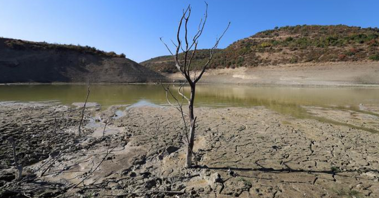 شح المياه يهدد قطاع الزراعة في شمال شرق سوريا