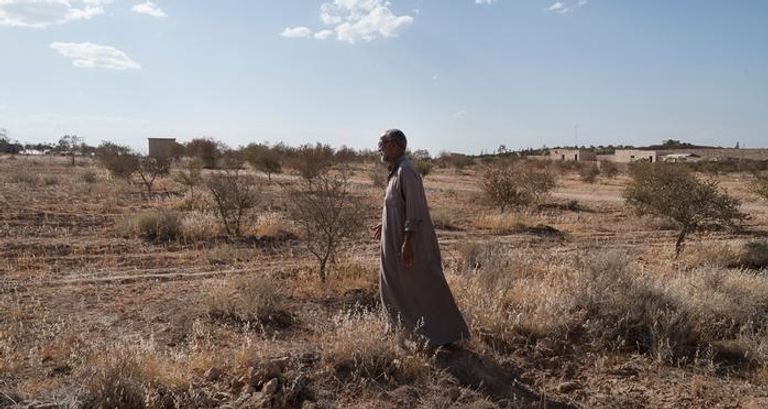 شح المياه يهدد قطاع الزراعة في شمال شرق سوريا