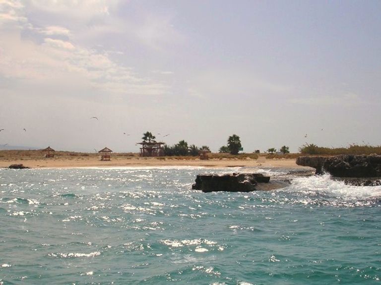 محمية جزر النخيل الطبيعية أحد أماكن السياحة في طرابلس لبنان السياحة في طرابلس لبنان