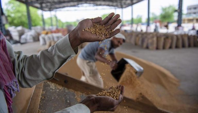 تجارة الحبوب في الهند