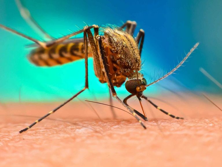 صورة أرشيفية