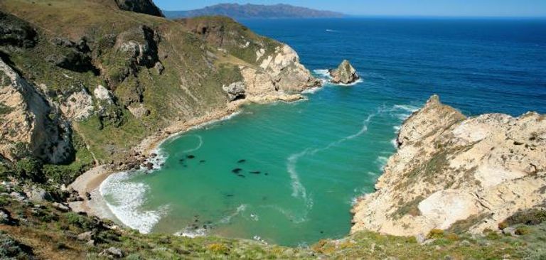 جزيرة سانتا كروز أحد أماكن السياحة في جزر غالاباغوس السياحة في جزر غالاباغوس.. أماكن جذابة والوقت المناسب للزيارة