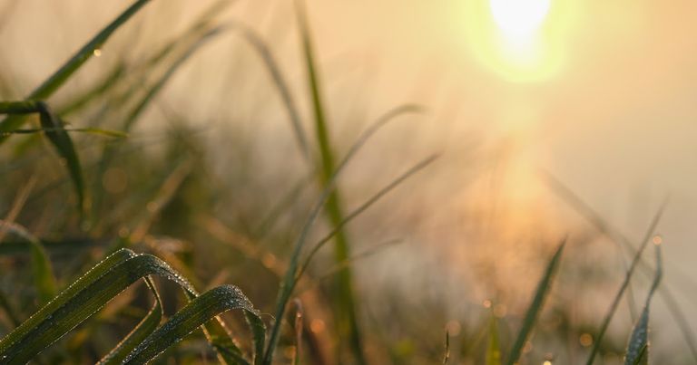 فكرة تبريد الأرض تلقى قبولا من رجال أعمال - تعبيرية