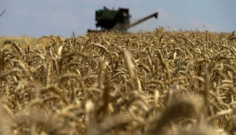 تزايد مخاطر عرقلة صادرات القمح الأوكراني 