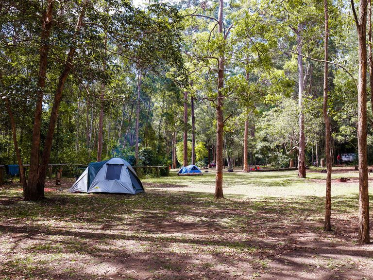 حديقة داجويلار الوطنية أحد أجمل الحدائق الوطنية في بريسبان