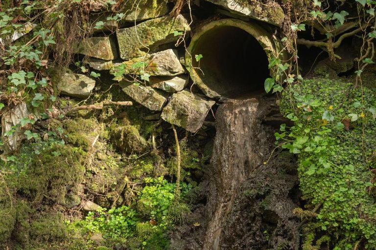 تصريف مياه الصرف الصحي في البحر