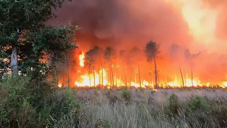 صورة أرشيفية