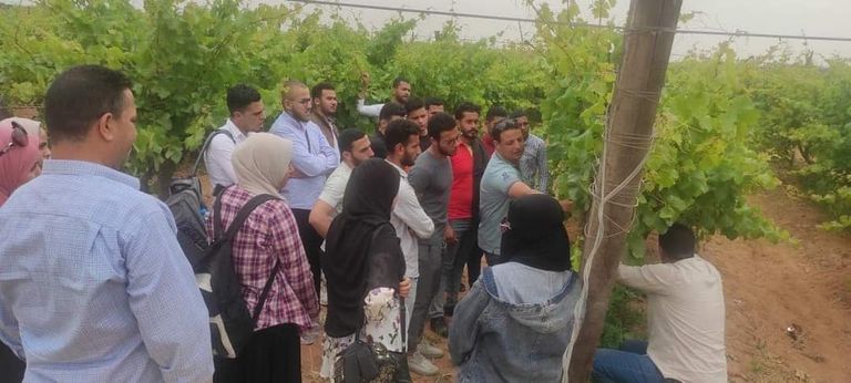 المهندس الزراعي طارق قورة مؤسس مبادرة 