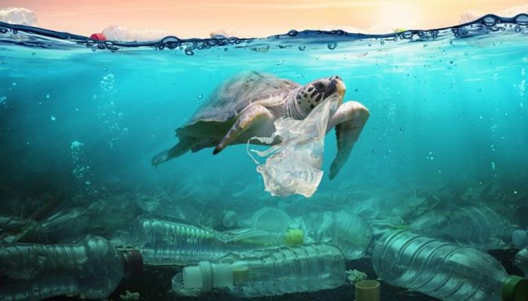 النفايات البلاستيكية تشكل خطرا متصاعدا على الحياة البحرية
