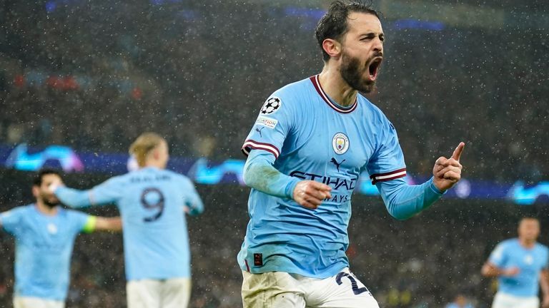 بيرناردو سيلفا