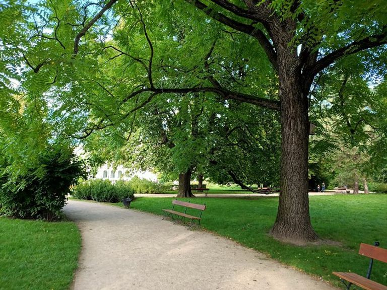 حديقة Krasiński واحدة من أجمل الحدائق الوطنية في وارسو أجمل الحدائق الوطنية في وارسو 5 بقاع ننصح بزيارتها