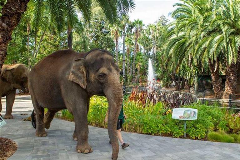 حديقة حيوان بيرث أحد أماكن السياحة في بيرث السياحة في بيرث…6 مفاجآت بمدينة الشمس الساطعة