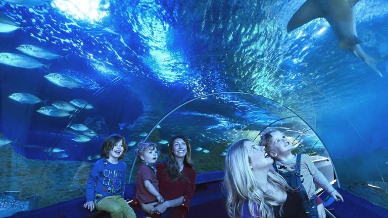 أكواريوم بيرث أحد أماكن السياحة في بيرث السياحة في بيرث…6 مفاجآت بمدينة الشمس الساطعة