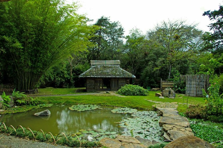 الحديقة النباتية أحد أماكن السياحة في كارتاجو السياحة في كارتاجو…5 روائع بقلب لا فيلا دي روبليد المشمسة