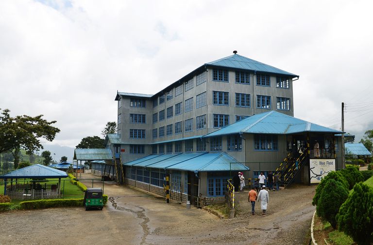 مصنع "Blue Field Tea Factory" للشاي أحد أفضل مراكز التسوق في سريلانكا أفضل أماكن التسوق في سريلانكا.. ماركات عالمية وحرف يدوية