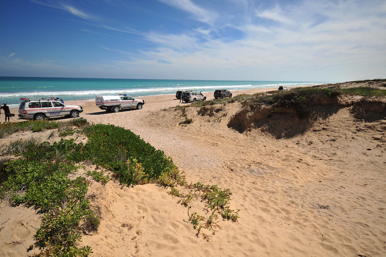 حديقة كورونج الوطنية أحد أجمل الحدائق في كينغستون