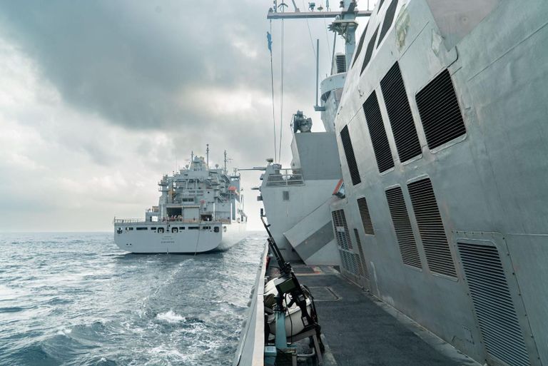 هرتسي هاليفي ومايكل كوريلا