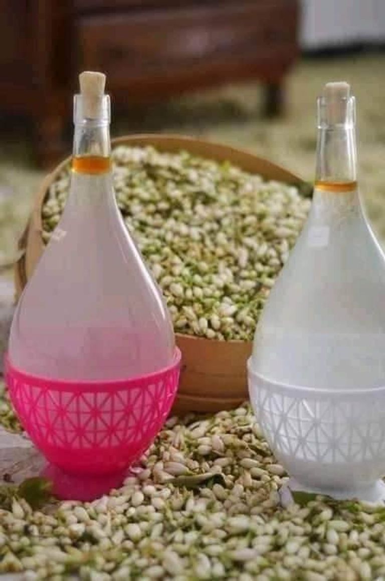 شجرة النارنج بحقل في محافظة نابل