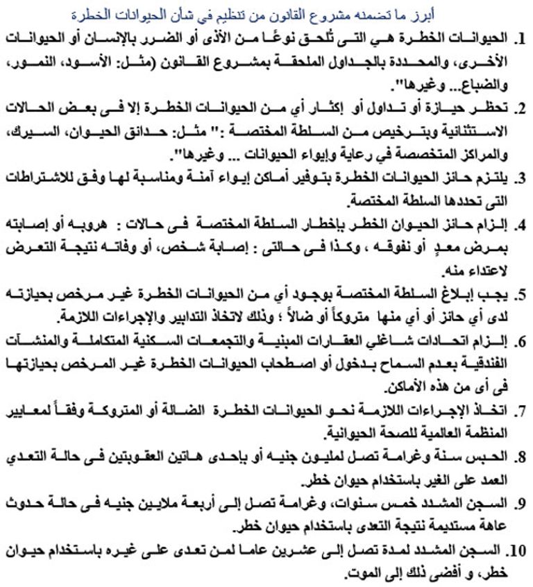 شخصان يتنزهان بصحبة كلبين