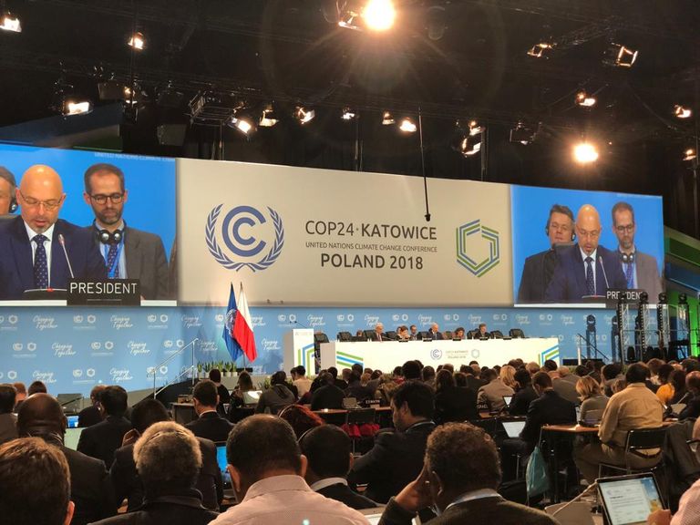 مشاركة دولة الإمارات في COP26