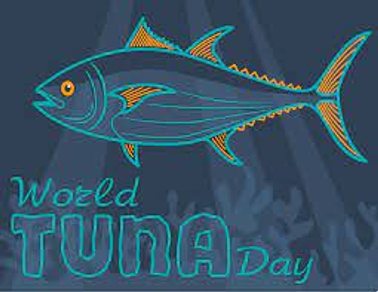 سمك التونة- أرشيفية