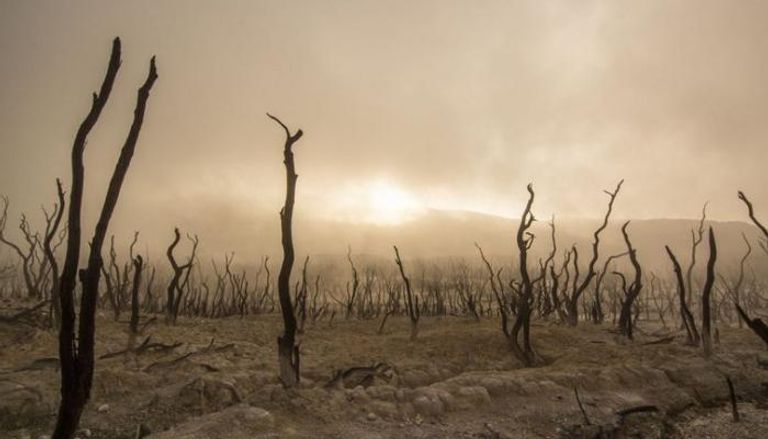 أرض قاحلة بسبب الجفاف الذي تسببه ظاهرة إل نينيو