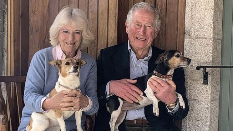 الملكة في زي التتويج وأحد الكلبين المكرمين