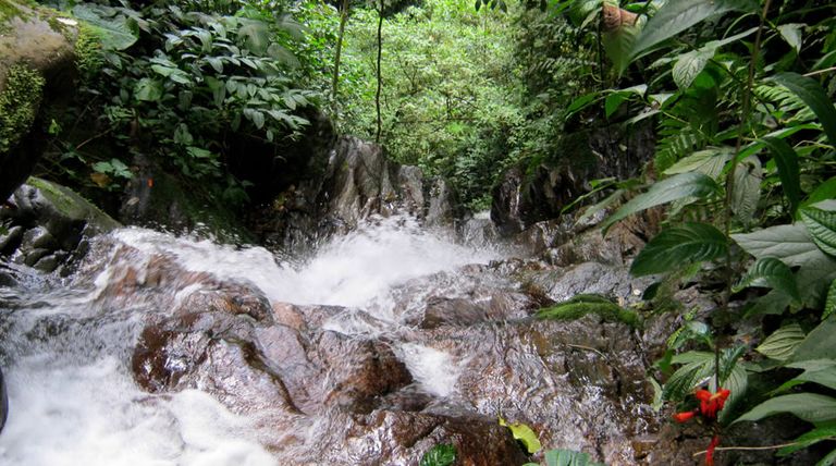 حديقة ألتو فراجوا إندي واسي الطبيعية الوطنية أحد أجمل الحدائق في كولومبيا أجمل الحدائق الوطنية في كولومبيا.. متنزهات ومحميات طبيعية