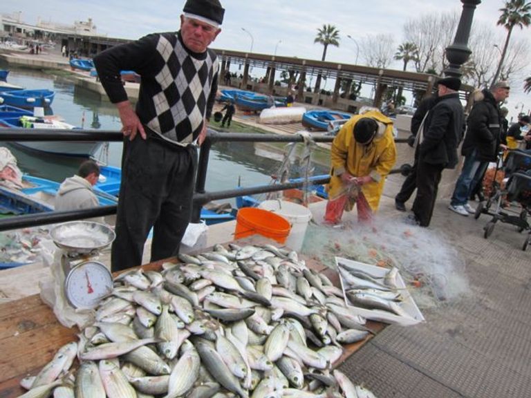 سوق السمك في باري أحد أفضل أماكن التسوق في باري أماكن التسوق في باري.. أفضل 5 عناصر للمتسوقين