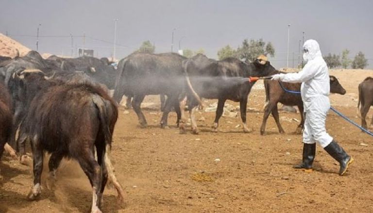 صورة أرشيفية