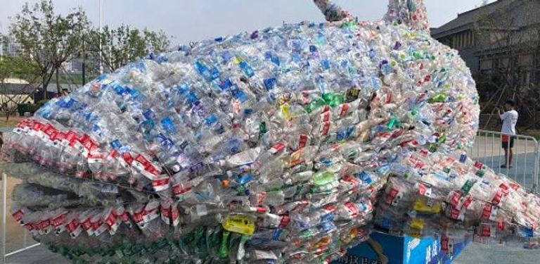 جويل روثي المتخصص في تربة الغابات والكيمياء الحيوية