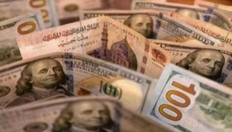 استقرار سعر الدولار اليوم في مصر
